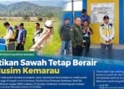 Pastikan Sawah Tetap Berair di Musim Kemarau, Kadis Pertanian Bombana Monev Sumur Bor di Mataoleo