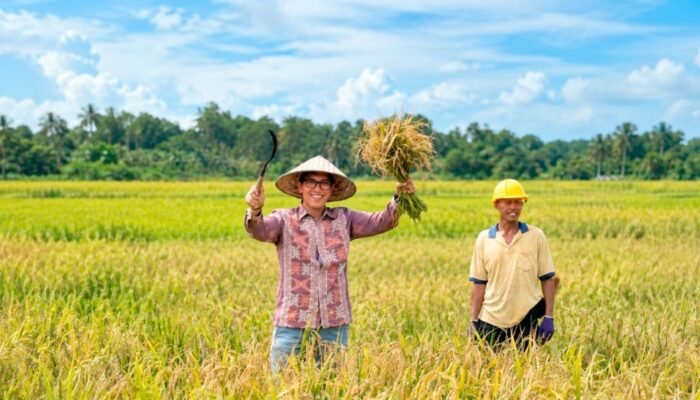BULOG Cetak Rekor Sepanjang Sejarah, Pengadaan Beras Melampaui 4 Juta Ton